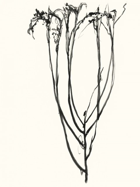 Naive Flower Sketch II