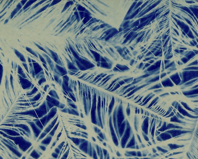 Textures in Blue IV