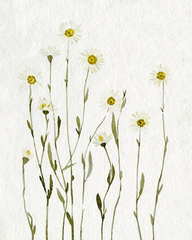 White Antique Daisies I