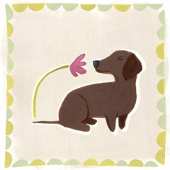 Dachshund Delight III