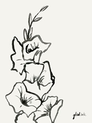 Gladiola Sketch III