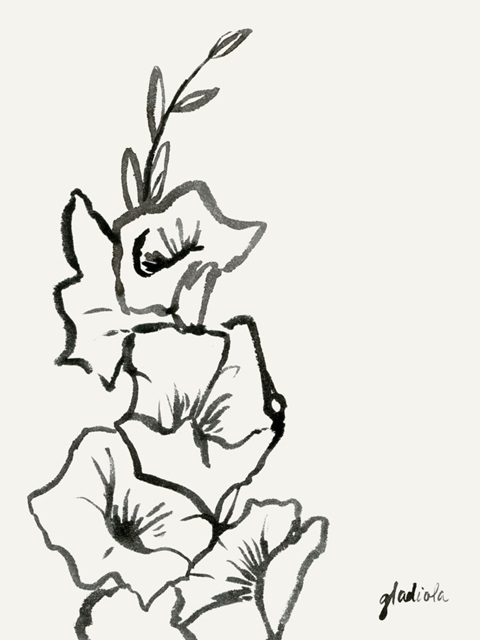 Gladiola Sketch III