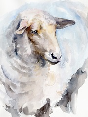 Watercolor Sheep I