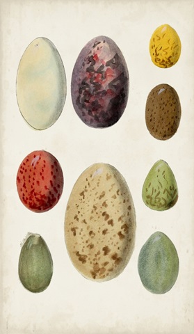 Antique Bird Eggs I