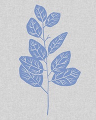 Blue Stem I