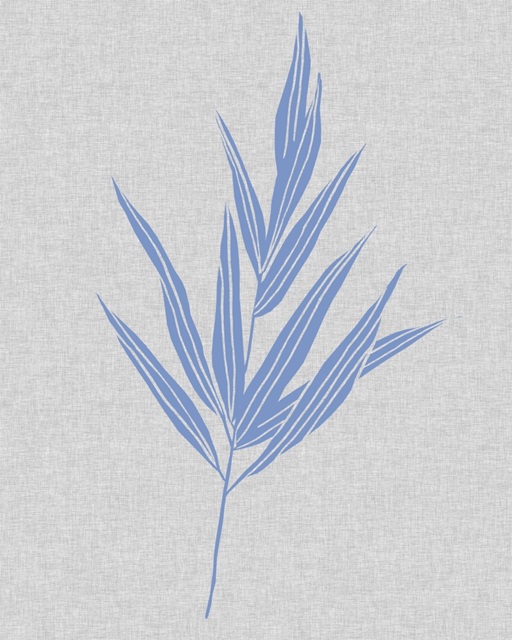 Blue Stem II