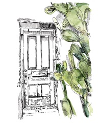 Cactus Door IV
