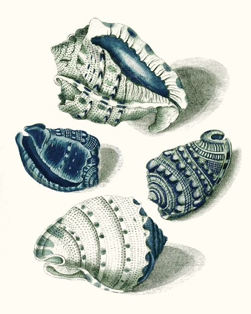 Celadon Shells I