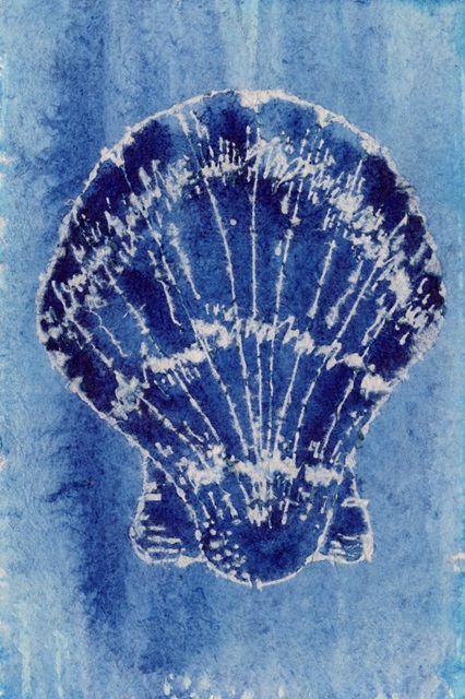 Cerulean Shells VI