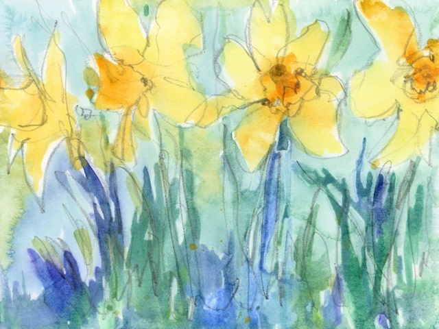 Daffodil Blooms II