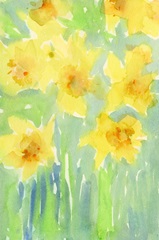Daffodils II