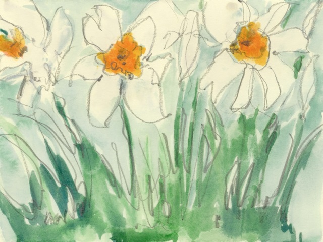 Daffodils Orange and White I