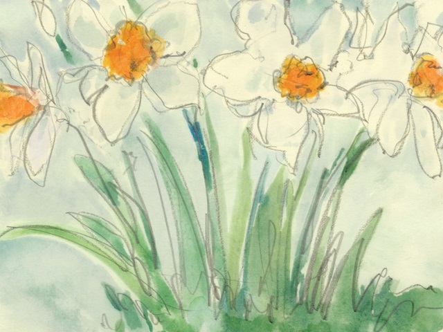Daffodils Orange and White II