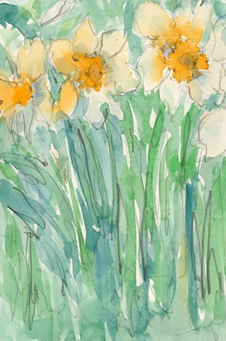 Daffodils Stems I
