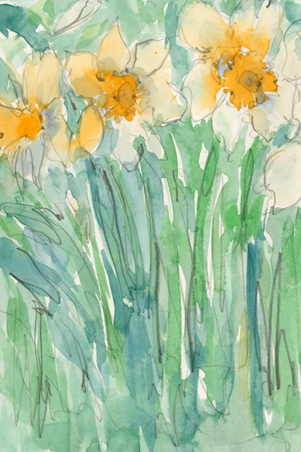 Daffodils Stems I