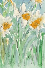 Daffodils Stems II