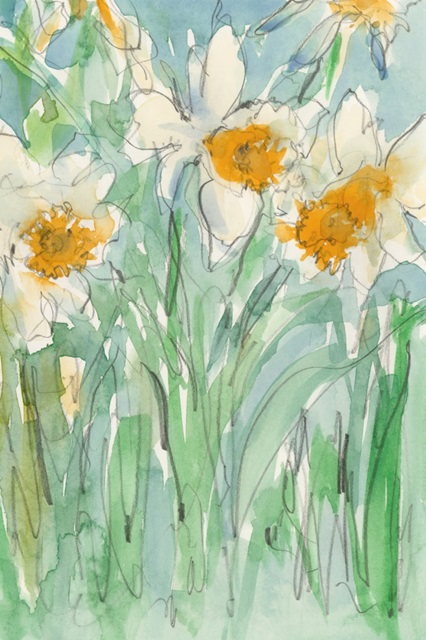 Daffodils Stems II