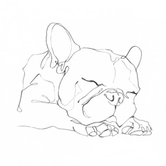 French Bulldog Contour II