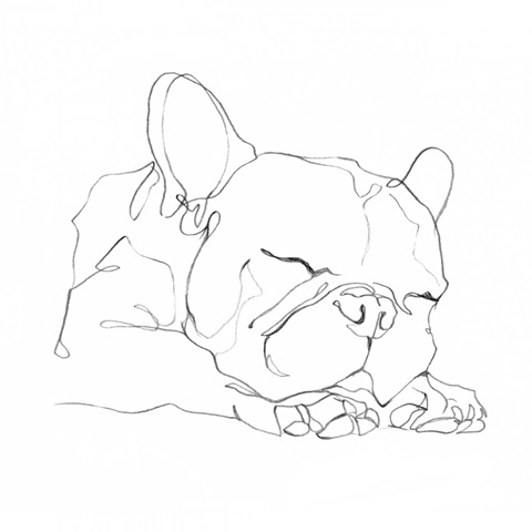 French Bulldog Contour II