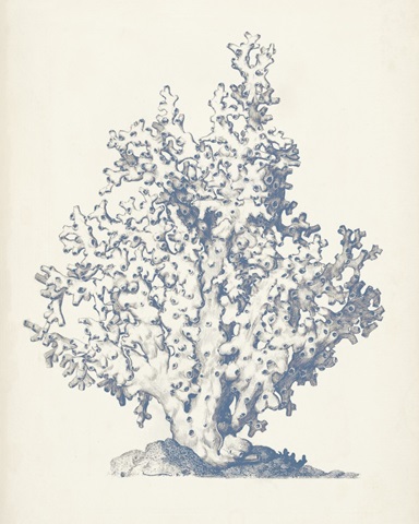 Antique Coral Collection IV