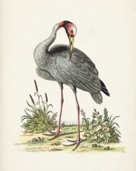 Antique Heron & Cranes I