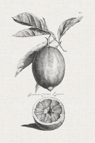 Antique Lemons & Oranges I