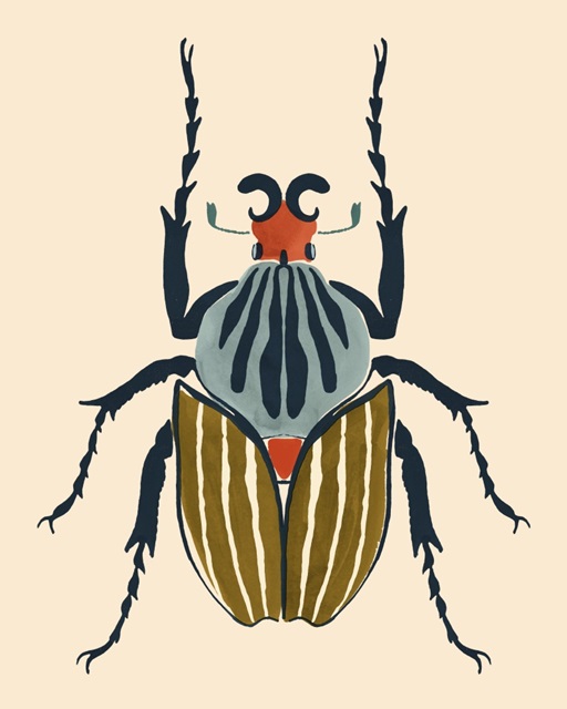 Beetle Bug I