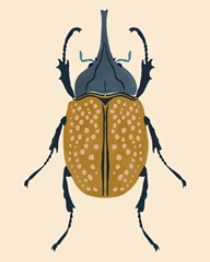 Beetle Bug II