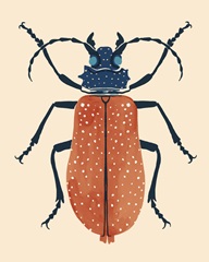 Beetle Bug III