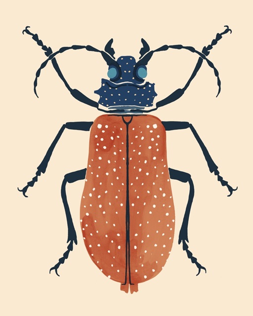 Beetle Bug III