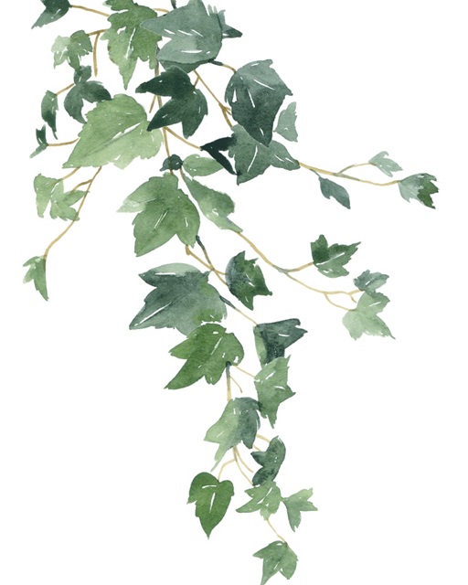 Branch Study I