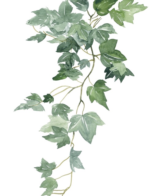 Branch Study II