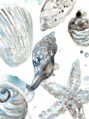 Cerulean Seashells III
