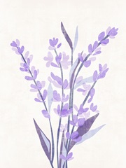 Lavender Land II