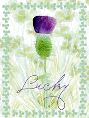 Lucky Shamrock I