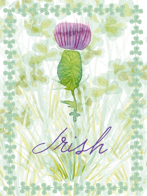 Lucky Shamrock II