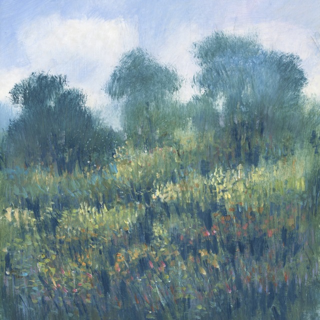 Meadow Wildflowers II