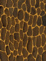 Of the Wild Patterns I