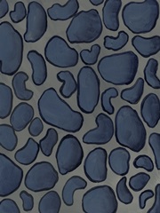 Of the Wild Patterns VIII