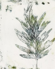 Presence of Nature VIII