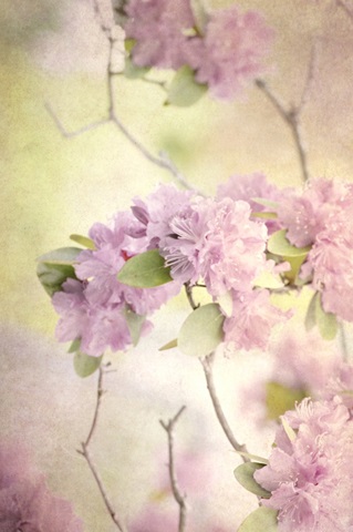 Reaching for the Sky I