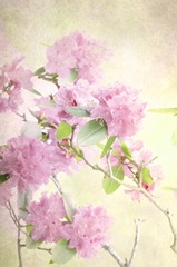 Reaching for the Sky II