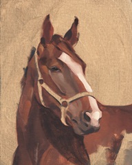 Thoroughbred IV