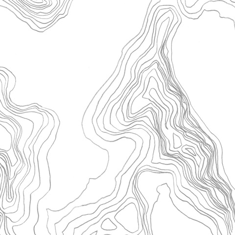 Topography Contour IV