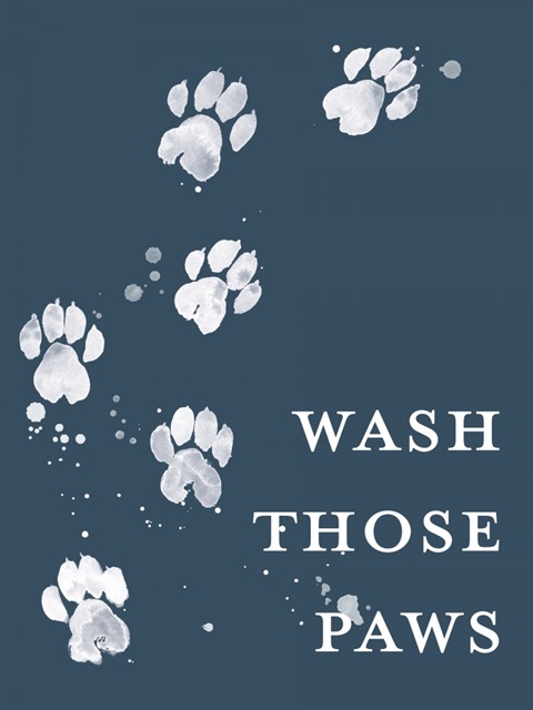 Wash Your Paws I