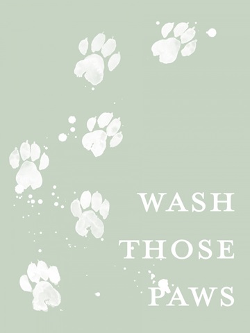 Wash Your Paws III