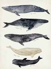 Whale Chart II