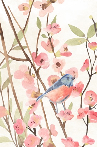 Cherry Blossom Perch I