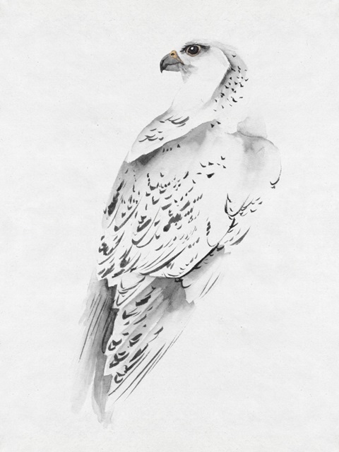 Gyrfalcon I