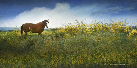 Horse in Flowers I